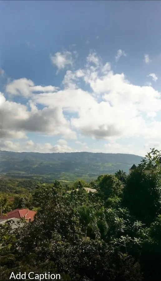 Homestay Tashari-Dae Inn Luxury Suite Mandeville