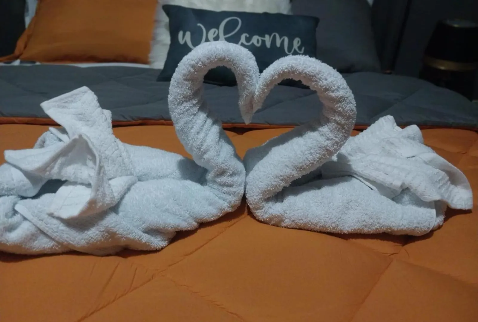 Tashari-Dae Inn Luxury Suite Mandeville Homestay